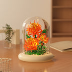 M5002-prickly chrysanthemum [with transparent cover + light base]
