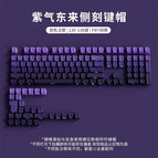 Ziqi donglai side-engraved translucent keycap boxed - key puller included