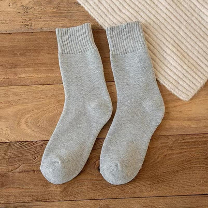Autumn and winter fleece-lined thick socks men's terry socks deodorant warm terry socks academic style all-match ins fashionable stockings