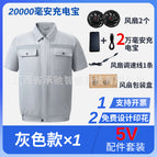 Gray suit [5v accessories set] / S
