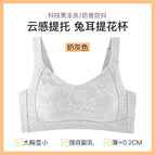 jacquard gray / M [45.00 kg-52.50 kg 34/75BCD]]