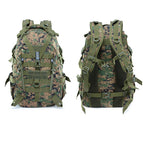 20-35L / Plexus number