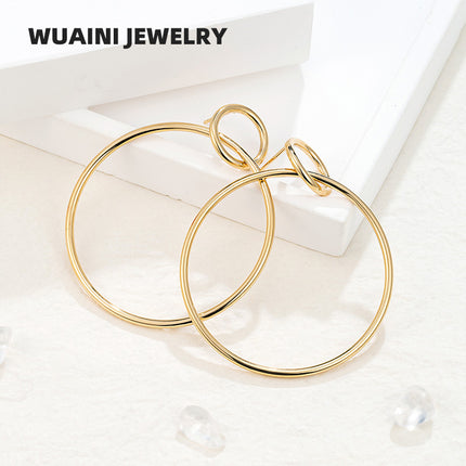 Minimalist Metal Hoop Earrings with a Magazine Style, Trendy and Cool Titanium Steel Stud Earrings for Women