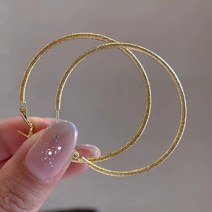 European and American Ins Large Circle Elegant Trendy Girls Frosted Earrings S925 Silver Needle Earrings Personalized Popular Hoop Earrings