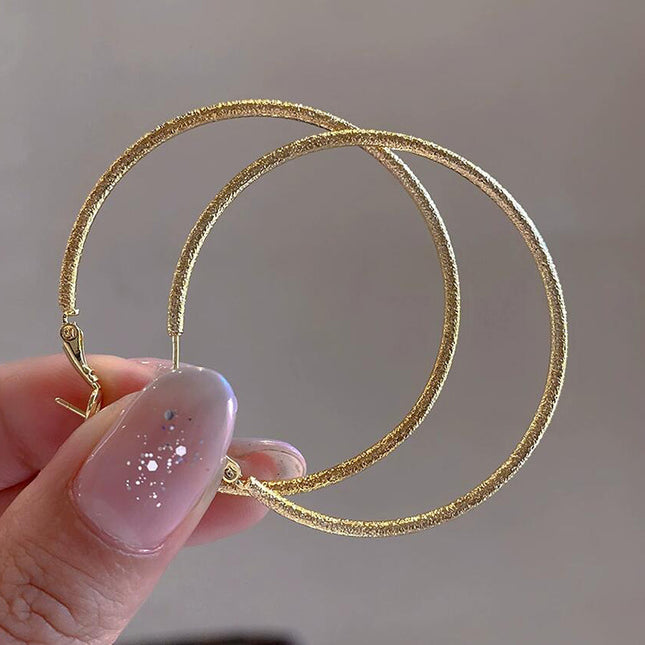 European and American Ins Large Circle Elegant Trendy Girls Frosted Earrings S925 Silver Needle Earrings Personalized Popular Hoop Earrings