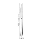 Silver steak knife (410)