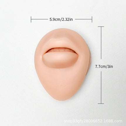 Silicone Ear Model Emulation Human Ear Stud Earrings Display Jewelry Display Bracket Puncture Perforation Tattoo Practice