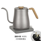 Gray with thermometer 220V domestic version