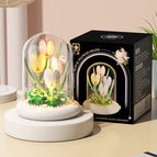 M5008 tulip/light transparent cover/color box