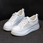White/Hollow / 34