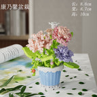 Carnation potted 365pcs 