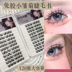 20 rows of 120 clusters of glue-free daisy eyelash book