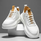 white brown / 39