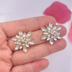 Ed-541 silver needle