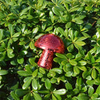 10*10cm red