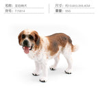 PL127-906 Saint Bernard 65g