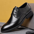 Black / 37