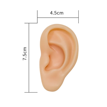 Silicone Ear Model Emulation Human Ear Stud Earrings Display Jewelry Display Bracket Puncture Perforation Tattoo Practice