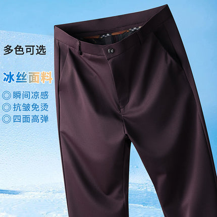 Ice Silk Light Luxury Suit Pants Men's Autum Thin 2024 New Loose Straight Business Elastic Men's Casual Pants