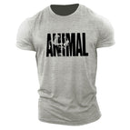 Grey / M