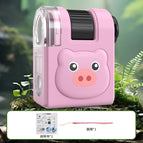 Piggy