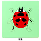 Extended Edition-Ladybug