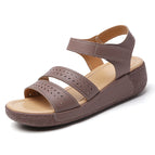 Bean Paste Color / 35