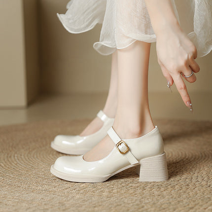 Thick-Heeled Shallow Leather Shoes, Small High-Heeled Shoes, Mary Jane Shoes for Women, Spring & Fall Skirts, Single Shoes, Ladylike Leather Shoes