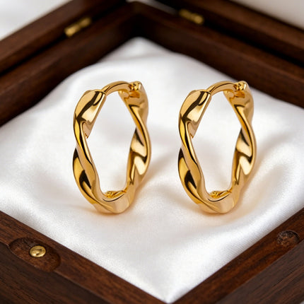 European and American Niche Earrings Design Light Luxury High-End Earrings for Women Summer Simple and Versatile Copper Gold-Plated Earrings Wholesale