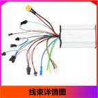 Controller [36V-60V]]
