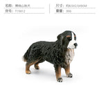 PL127-237 Bona Mountain Dog 30g
