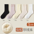 Velvet and thickening [5 pairs] black + khaki + lotus root powder + beige + white