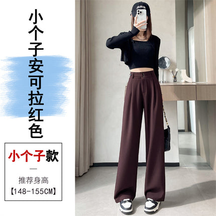 Grey high-end suit pants women's spring and autumn drape pants 2024 new small straight pants narrow wide leg pants