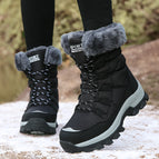 8033 black / 36