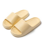 9002 yellow / 40-41