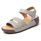 grey / 35