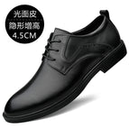 Black glossy heightening model / 37