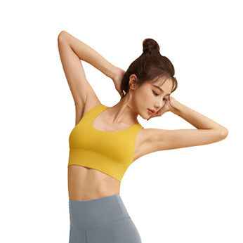 High-Elasticity, High-Strength Shock-Proof Sports Bra for Women with Removable Chest Pads and Hook-And-Eye Closure for Yoga and Fitness Jyt