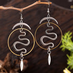 Earrings C