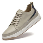 Beige / 37