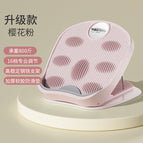 16 levels of cherry blossom pink basic model / 1