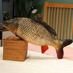 30cm / Carp