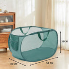 Horizontal green