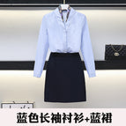 Blue Long Sleeve Shirt Blue Dress / S
