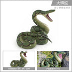 PL127-2556 Python 74g