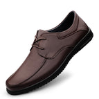Brown [Lace]] / 37