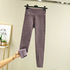 Purple / M