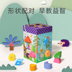 12-hole puzzle box