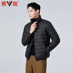 Black stand collar / Within m 60kg