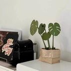 Army green (leaves + branches + soil)